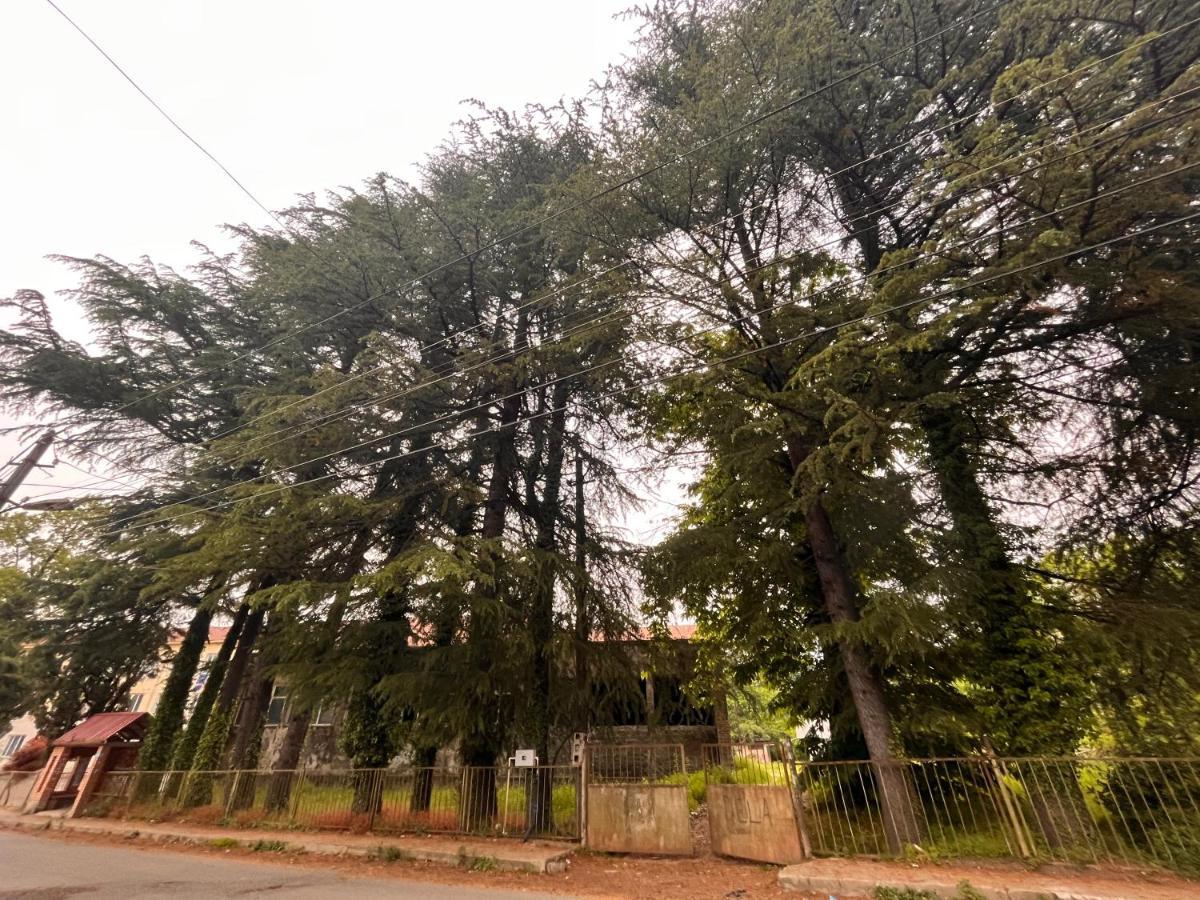מחינג'אורי Dato'S Guesthouse מראה חיצוני תמונה